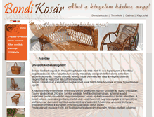 Tablet Screenshot of bondikosar.com